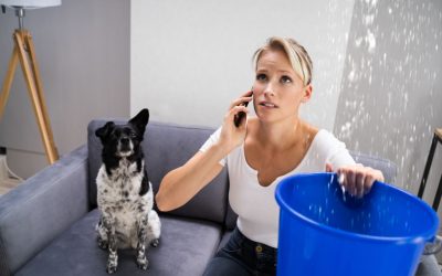Roof Leaks in Doylestown: Importance of Flashing for Prevention